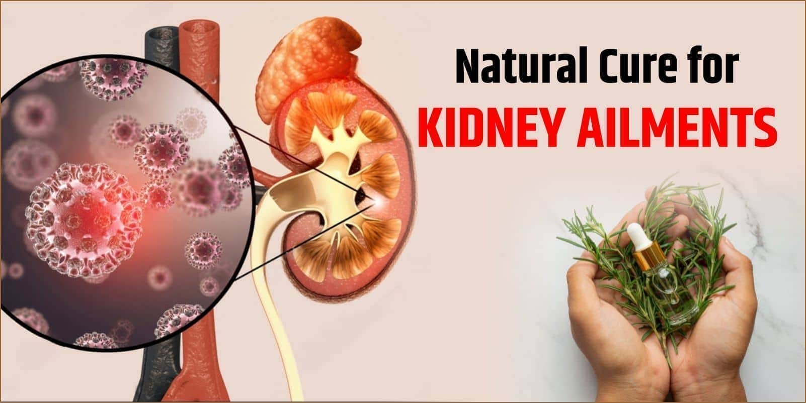 Natural Cure for Kidney Ailments